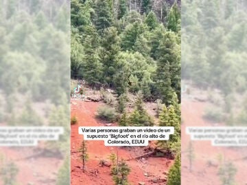 Imagen del v&iacute;deo viral