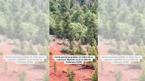 Imagen del vídeo viral Imagen del vídeo viral