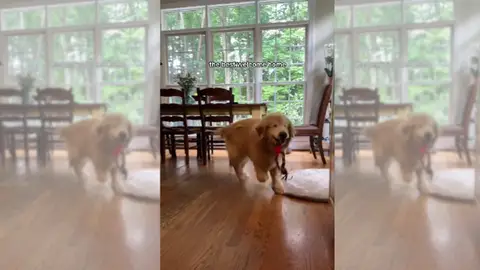 Imagen del vídeo viral Imagen del vídeo viral