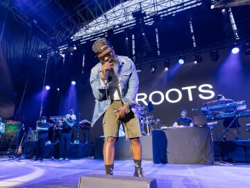 The Roots en las Noches del Bot&aacute;nico