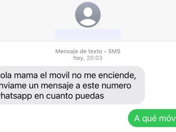 Captura de la estafa.