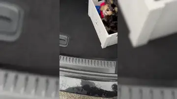 Abre el maletero del coche y su hijo le da la sorpresa de su vida Abre el maletero del coche y su hijo le da la sorpresa de su vida