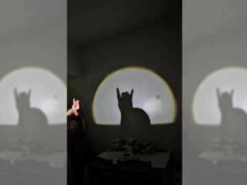 Imagen del v&iacute;deo viral