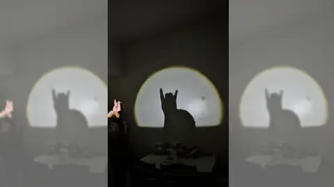 Imagen del vídeo viral Imagen del vídeo viral