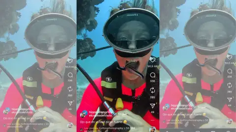 Dentistas del océano Dentistas del océano