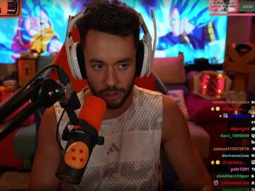 Imagen de TheGrefg en stream