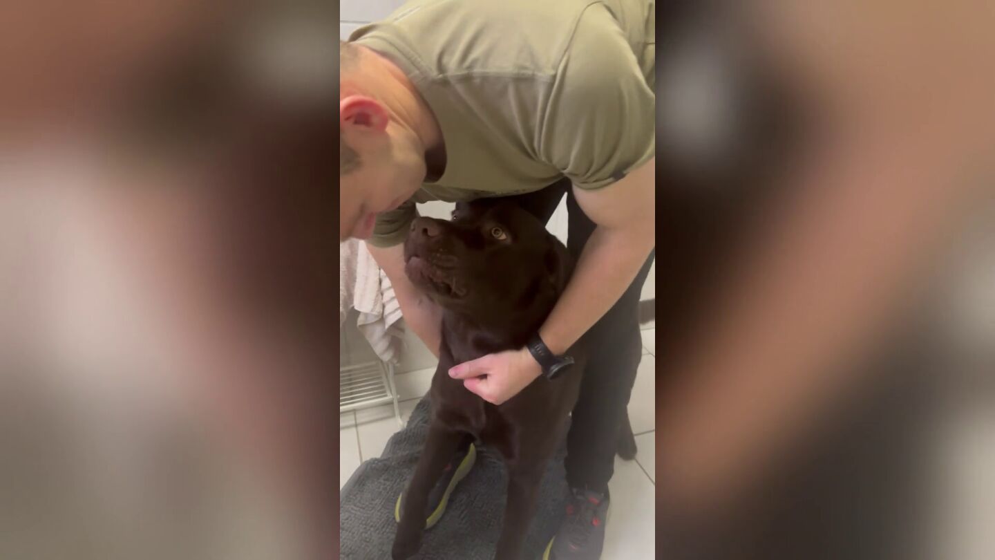 Pilla a su perro haciendo una travesura y se lleva una sorpresa al abrirle la boca