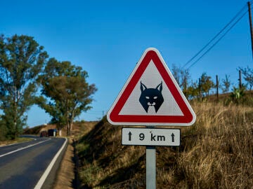 Imagen de una se&ntilde;al de tr&aacute;fico con un lince