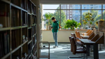 Estudiante universitario.