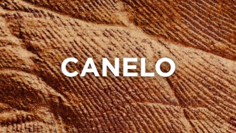 Expresiones canarias - canelo