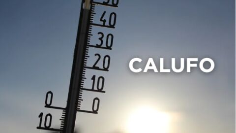 Expresiones canarias - calufo