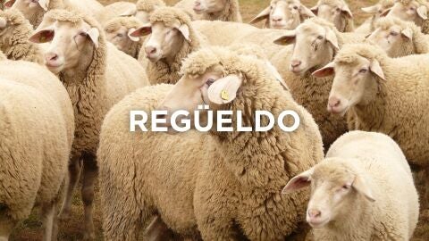 Expresiones manchegas - Regüeldo