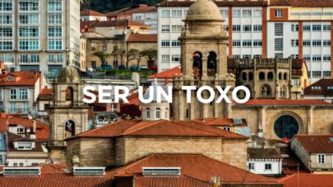 Expresiones gallegas - Ser un toxo