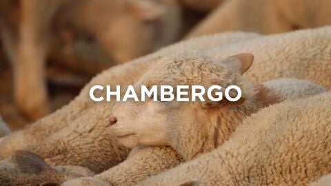 Expresiones manchegas - Chambergo