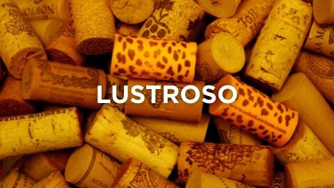 Expresiones manchegas - Lustroso