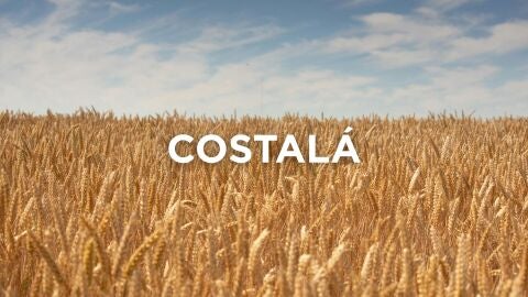 Expresiones manchegas - Costalá