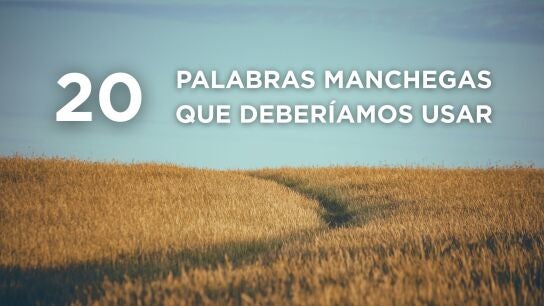 Expresiones manchegas
