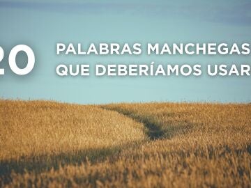 Expresiones manchegas