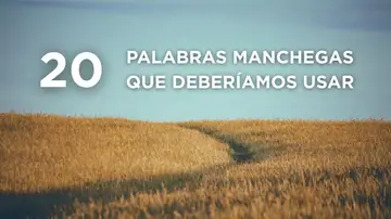 Expresiones manchegas Expresiones manchegas