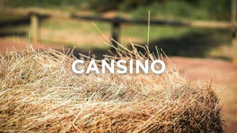 Expresiones manchegas - Cansino