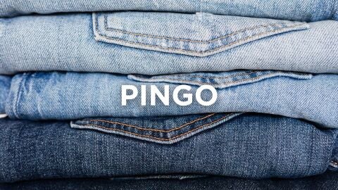 Palabras cántabras - Pingo