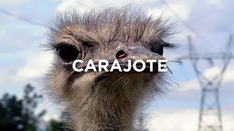 Expresiones gaditanas - Carajote Expresiones gaditanas - Carajote