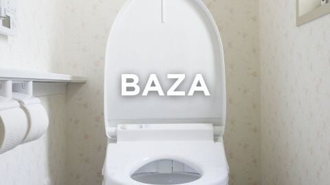 Palabras cántabras - Baza