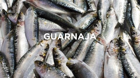 Expresiones gaditanas - Guarnaja