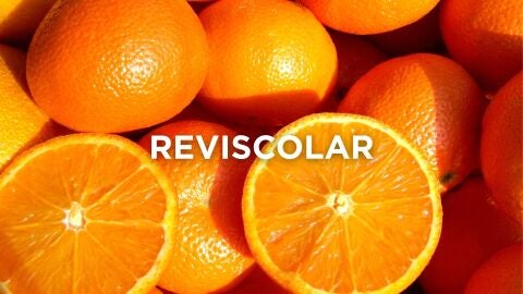 Expresiones valencianas - Reviscolar