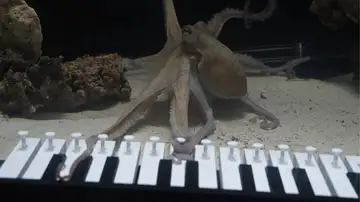 Youtube de @Mattiaskrantz Youtube de @Mattiaskrantz