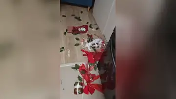 Un perro posa con expresión de inocencia tras desatar este caos navideño Un perro posa con expresión de inocencia tras desatar este caos navideño