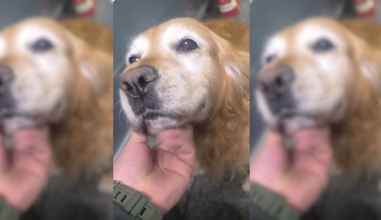 TikTok @eeddiinnssoonn