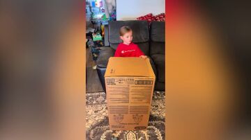 Un gallina sale de una caja de regalo de Navidad y asusta a todos