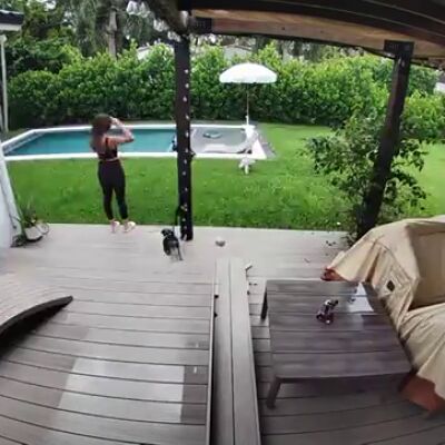 Pensaba que un cocodrilo iba a comerse a su perrito pero se lleva una sorpresa