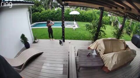 Pensaba que un cocodrilo iba a comerse a su perrito pero se lleva una sorpresa