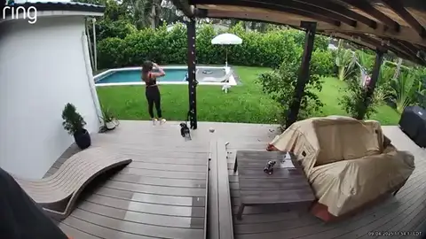 Pensaba que un cocodrilo iba a comerse a su perrito pero se lleva una sorpresa Pensaba que un cocodrilo iba a comerse a su perrito pero se lleva una sorpresa