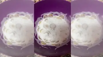 Imagen del vídeo viral Imagen del vídeo viral