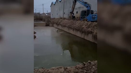  Un ni&ntilde;o usa una excavadora para rescatar a un cachorro atrapado en un pozo de barro