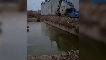  Un ni&ntilde;o usa una excavadora para rescatar a un cachorro atrapado en un pozo de barro