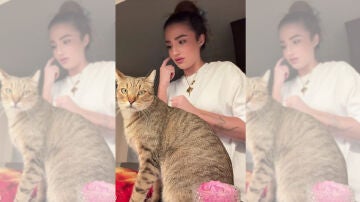 Imagen del v&iacute;deo de Sof&iacute;a Surfers