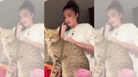 Imagen del vídeo de Sofía Surfers Imagen del vídeo de Sofía Surfers