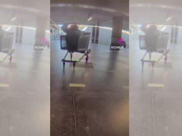 Imagen del v&iacute;deo de Sezar Blue