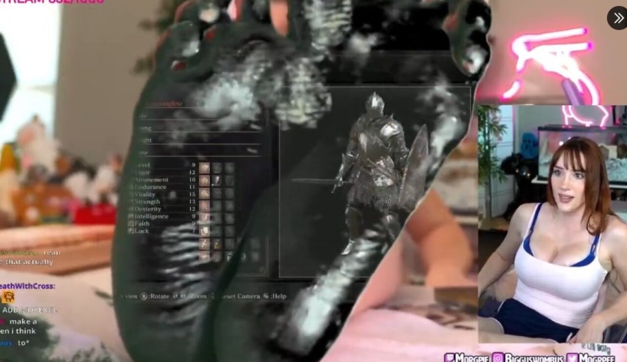 Imagen de Morgpie en stream