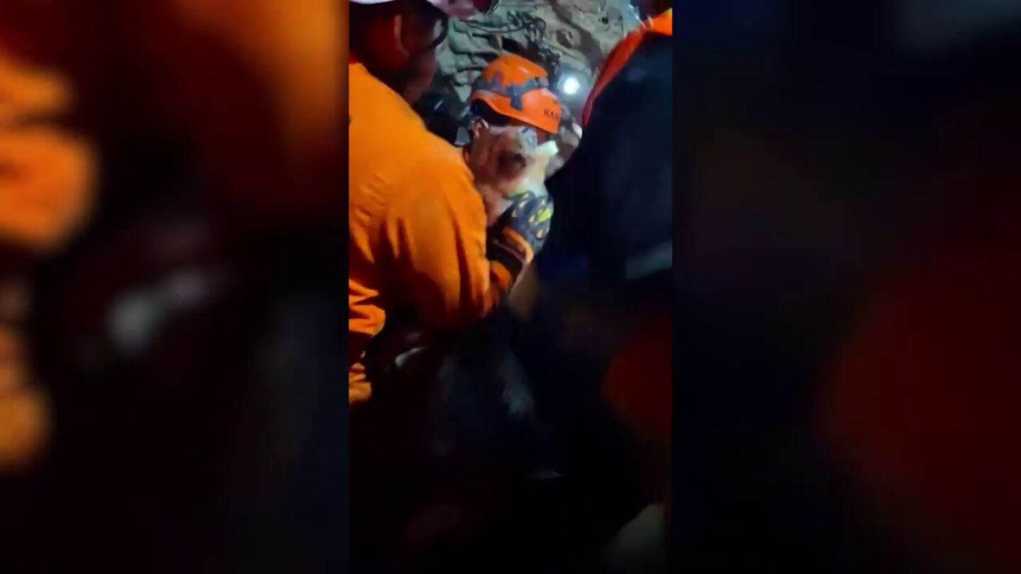  Rescatistas sacan vivo a un perro de los escombros del terremoto en Venezuela