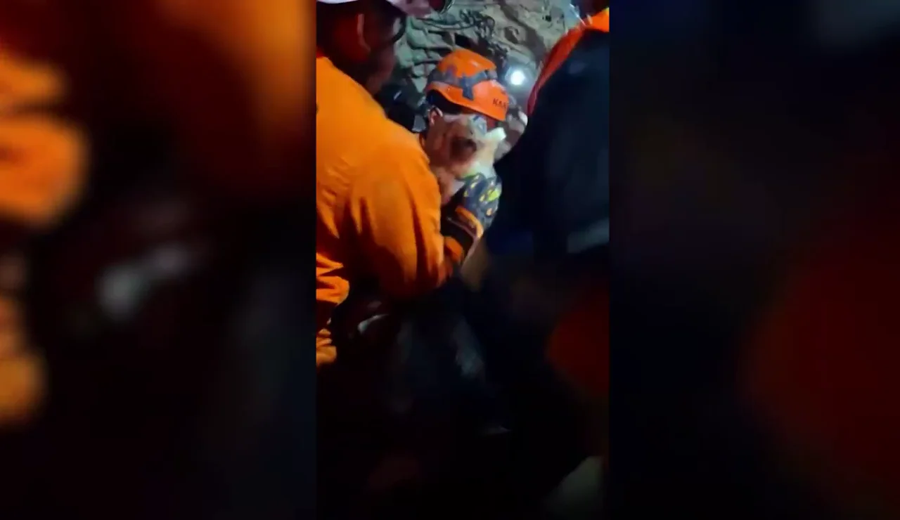 Rescatistas sacan vivo a un perro de los escombros del terremoto en Venezuela