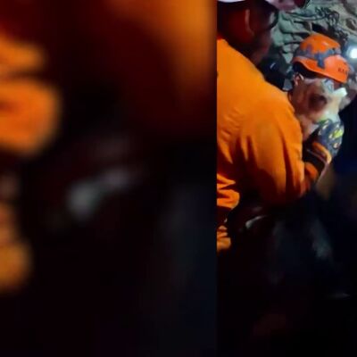  Rescatistas sacan vivo a un perro de los escombros del terremoto en Venezuela