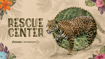 Flooxer estrena muy pronto el documental Rescue Center, sobre la labor de un prestigioso centro de rescate animal en Costa Rica