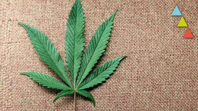 ¿Por qué crece el consumo de marihuana entre las adolescentes embarazadas?