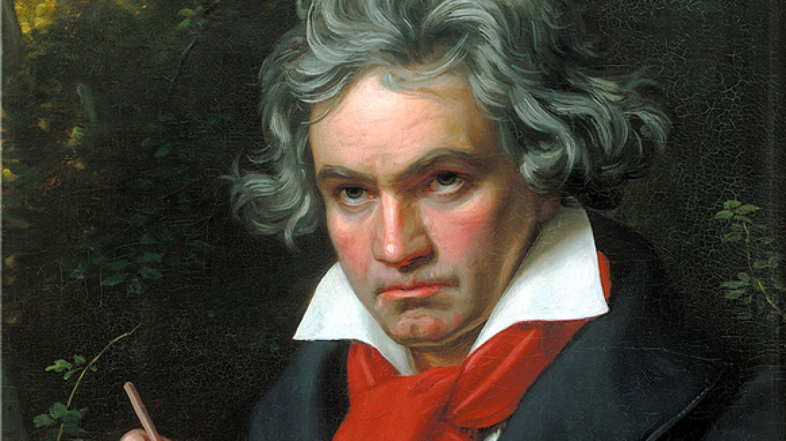 Beethoven en trineo: el hipnotizante videoclip que no podrás dejar de ver 