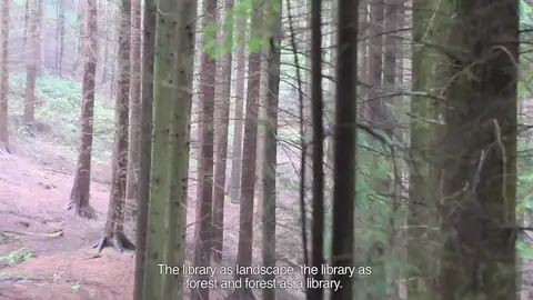 Bárbara Sánchez Barroso. Bárbara Sánchez Barroso.